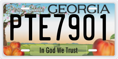 GA license plate PTE7901
