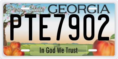 GA license plate PTE7902