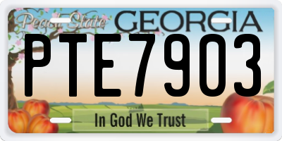 GA license plate PTE7903