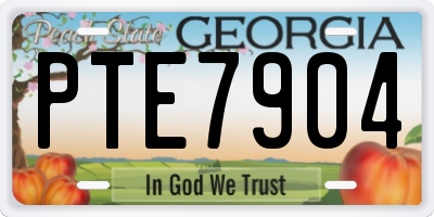 GA license plate PTE7904