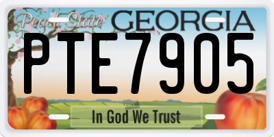 GA license plate PTE7905