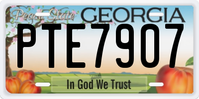 GA license plate PTE7907