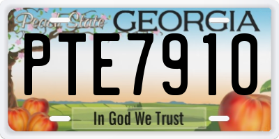 GA license plate PTE7910
