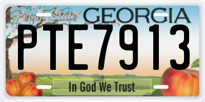 GA license plate PTE7913