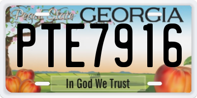 GA license plate PTE7916