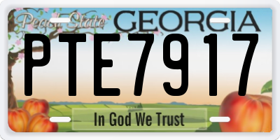 GA license plate PTE7917