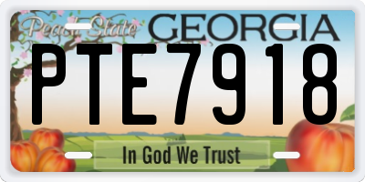 GA license plate PTE7918