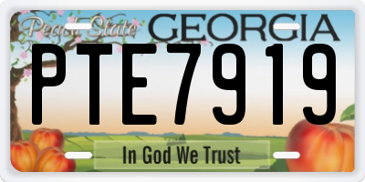 GA license plate PTE7919