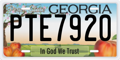 GA license plate PTE7920