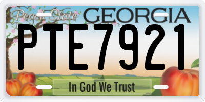 GA license plate PTE7921