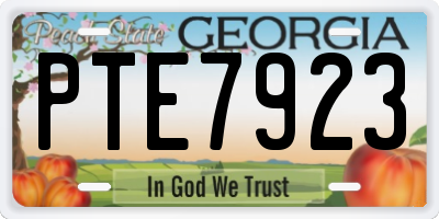 GA license plate PTE7923