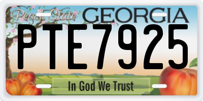 GA license plate PTE7925