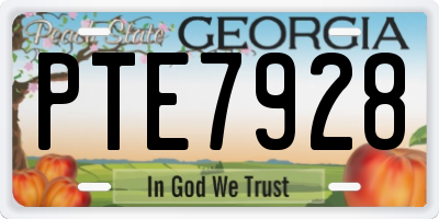 GA license plate PTE7928
