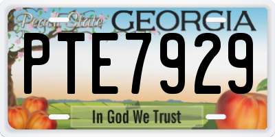 GA license plate PTE7929