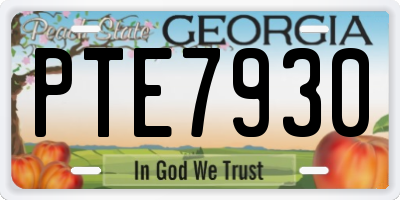 GA license plate PTE7930
