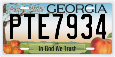 GA license plate PTE7934