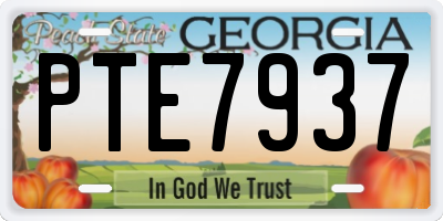 GA license plate PTE7937