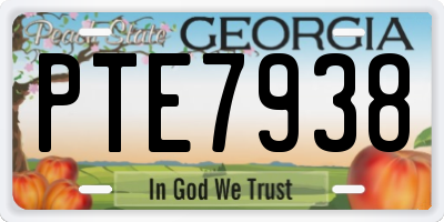 GA license plate PTE7938