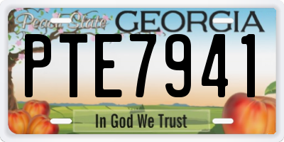 GA license plate PTE7941
