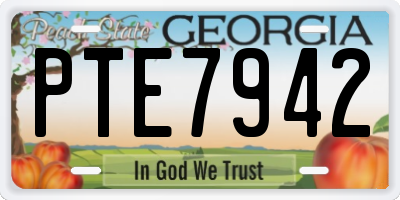 GA license plate PTE7942