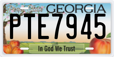 GA license plate PTE7945