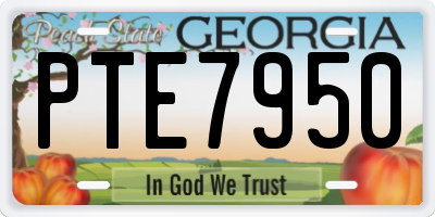 GA license plate PTE7950
