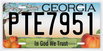 GA license plate PTE7951