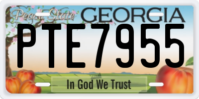 GA license plate PTE7955