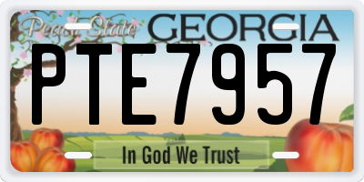 GA license plate PTE7957
