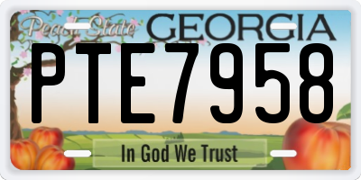 GA license plate PTE7958