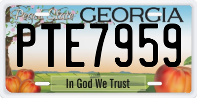 GA license plate PTE7959