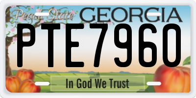 GA license plate PTE7960