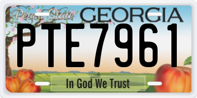 GA license plate PTE7961