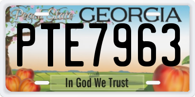 GA license plate PTE7963