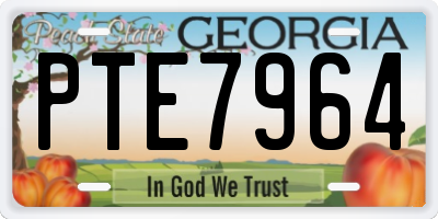 GA license plate PTE7964