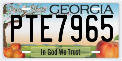 GA license plate PTE7965