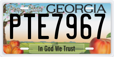 GA license plate PTE7967