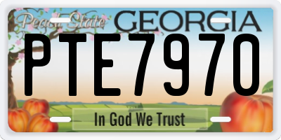 GA license plate PTE7970