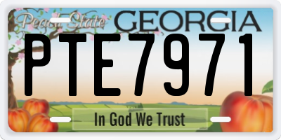 GA license plate PTE7971