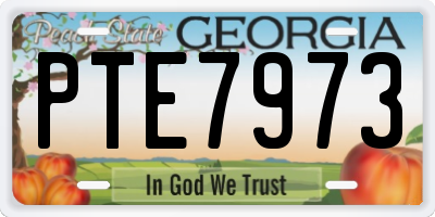 GA license plate PTE7973