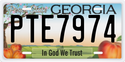 GA license plate PTE7974
