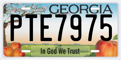 GA license plate PTE7975