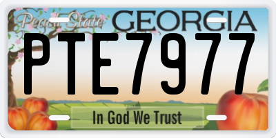 GA license plate PTE7977