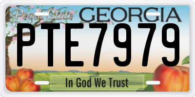 GA license plate PTE7979
