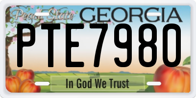 GA license plate PTE7980