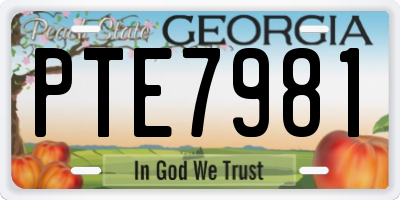 GA license plate PTE7981