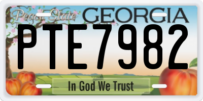 GA license plate PTE7982