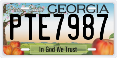 GA license plate PTE7987