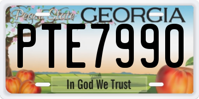 GA license plate PTE7990