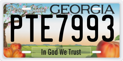 GA license plate PTE7993